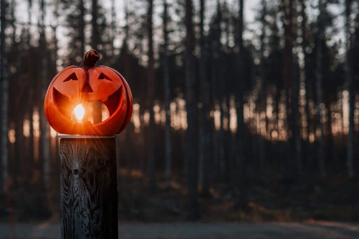 Halloween-kranssi – kurssit pe 16.10. ja la 17.10.2026